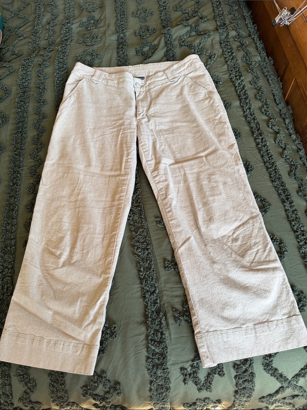 Patagonia Neutral Tan Women's Pants